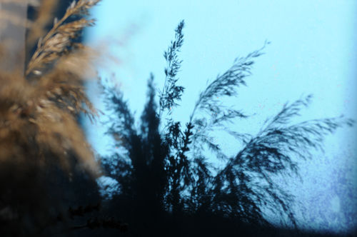 Studio – zdjęcie 3